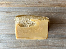 Lemon Verbena Loofah Soap